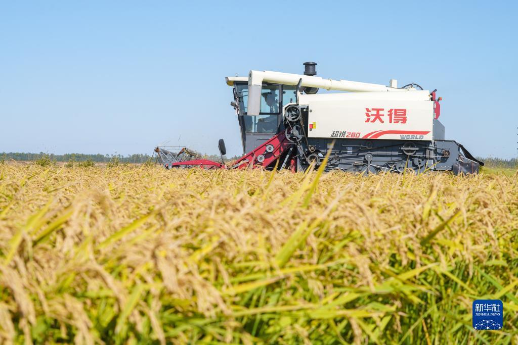 奥门太阳城威尼斯